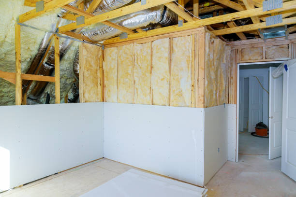 Best Cellulose Insulation in Inwood, FL