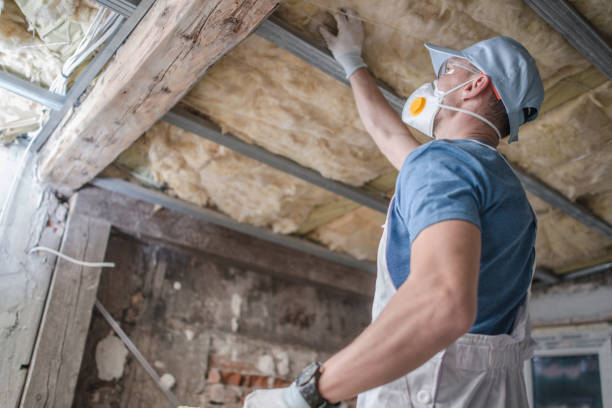 Professional Insulation Contractor in Inwood, FL